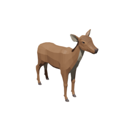 Deer